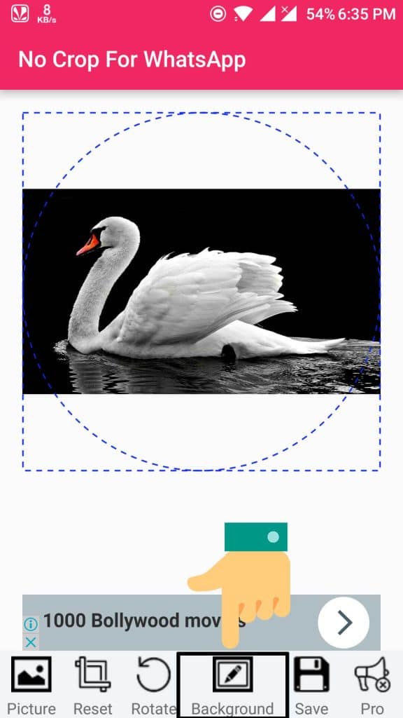 How to Set Full Size Profile Picture on WhatsApp Without Crop