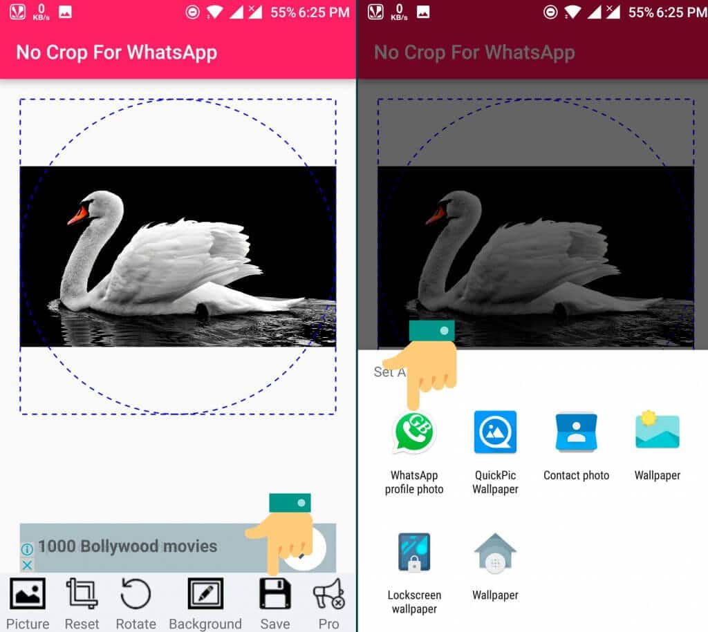 How to Set Full Size Profile Picture on WhatsApp Without Crop