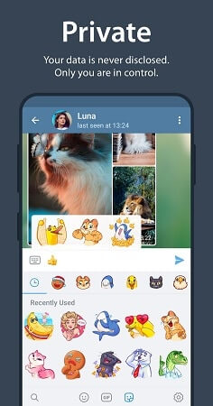 Telegram Telegram APK