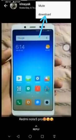 Download WhatsApp Status
