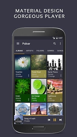 Pulsar Music Player Full Version