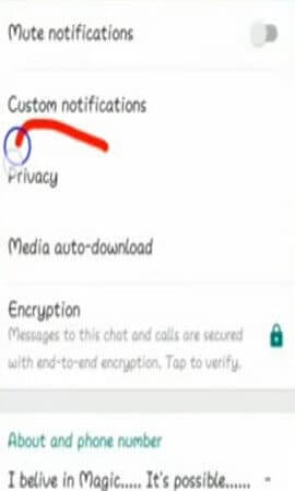 WhatsApp Privacy