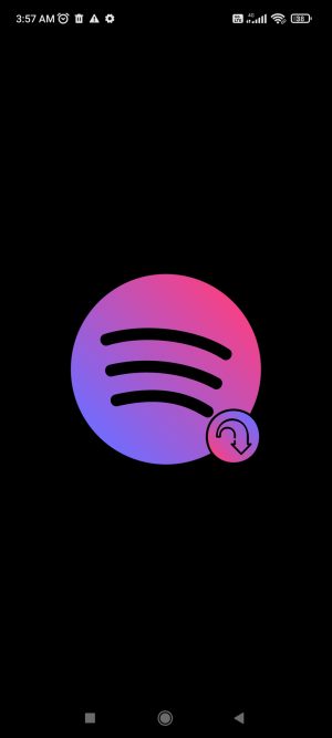 SpotiFlyer Spotiflyer app