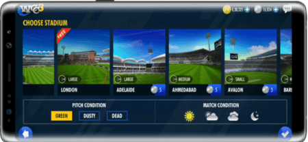 World Cricket Championship 3