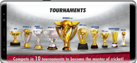 World Cricket Championship 3