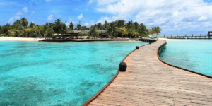 Ocean is Home 2