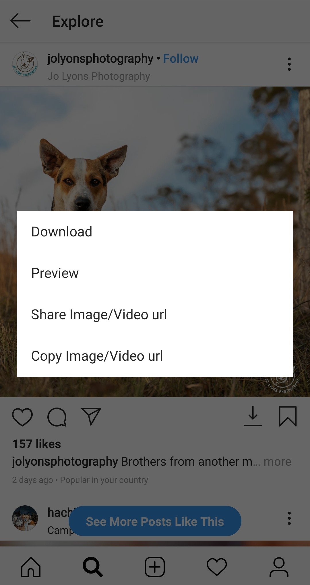 Instagram Aero Instagram Aero