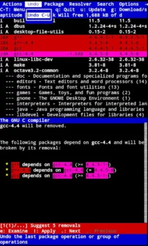 Terminal Emulator Terminal Emulator