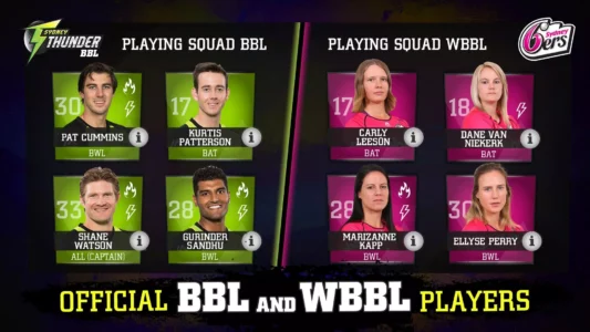 Big Bash Cricket Big Bash Cricket