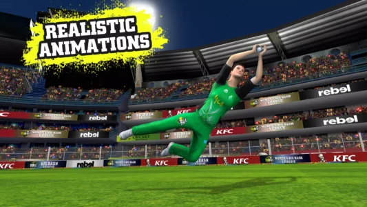 Big Bash Cricket Big Bash Cricket