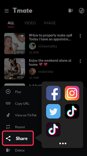 Tmate 6