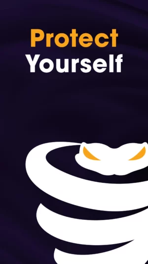 VyprVPN VyprVPN