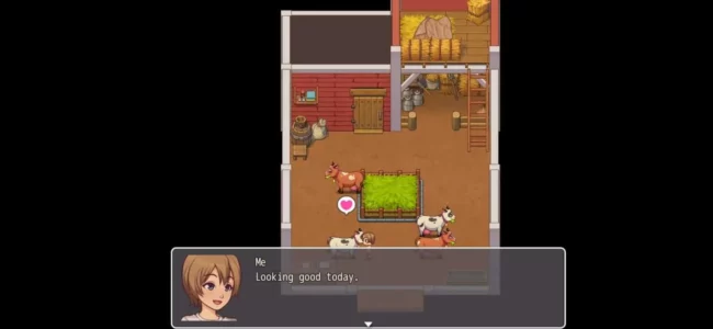 Daily Lives Of My Countryside Apk Daily Lives Of My Countryside Apk