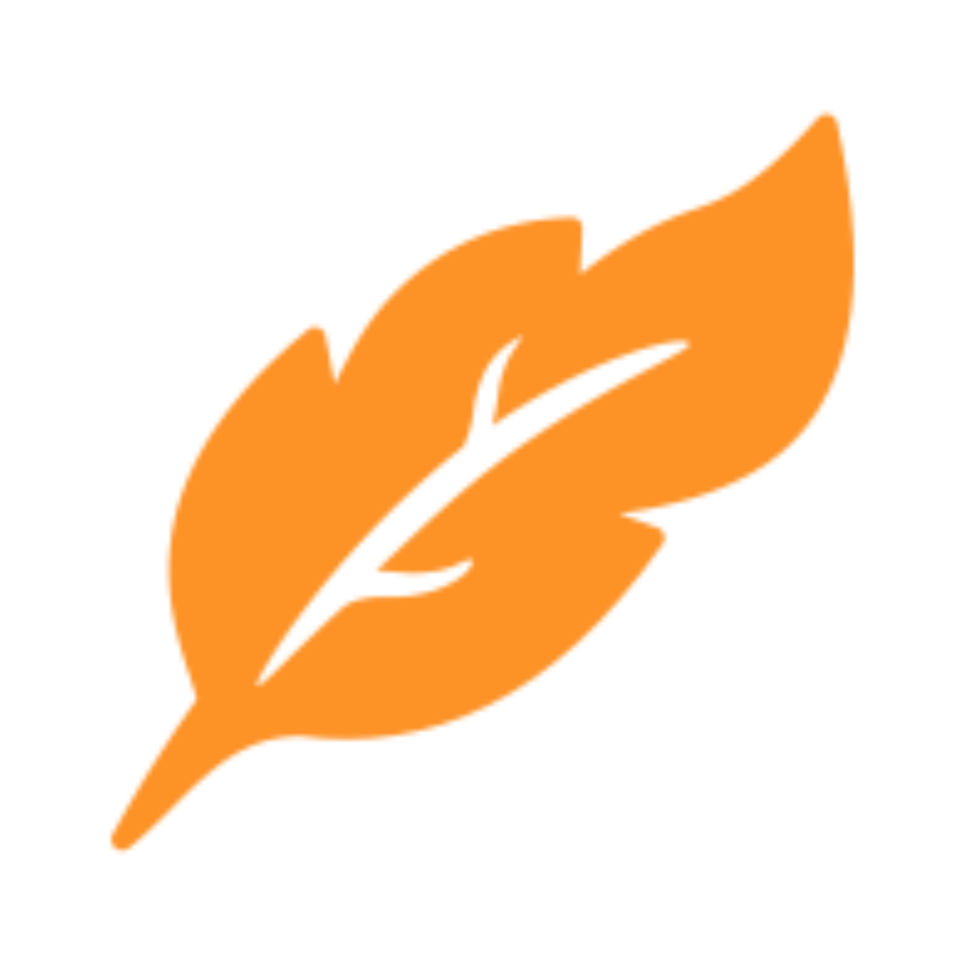 BF Browser