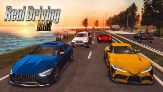 real driving sim mod apk real driving sim mod apk